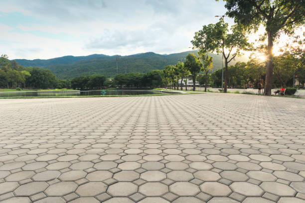Best Concrete Paver Driveway  in Hutchins, TX